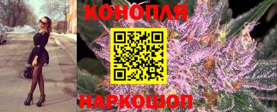 Альфа ПВП Лесосибирск
