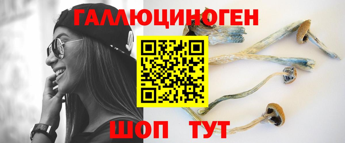 Псилоцибиновые грибы MAGIC MUSHROOMS  Вход с VPN  Пыть-Ях  Псилоцибиновые грибы Cubensis 